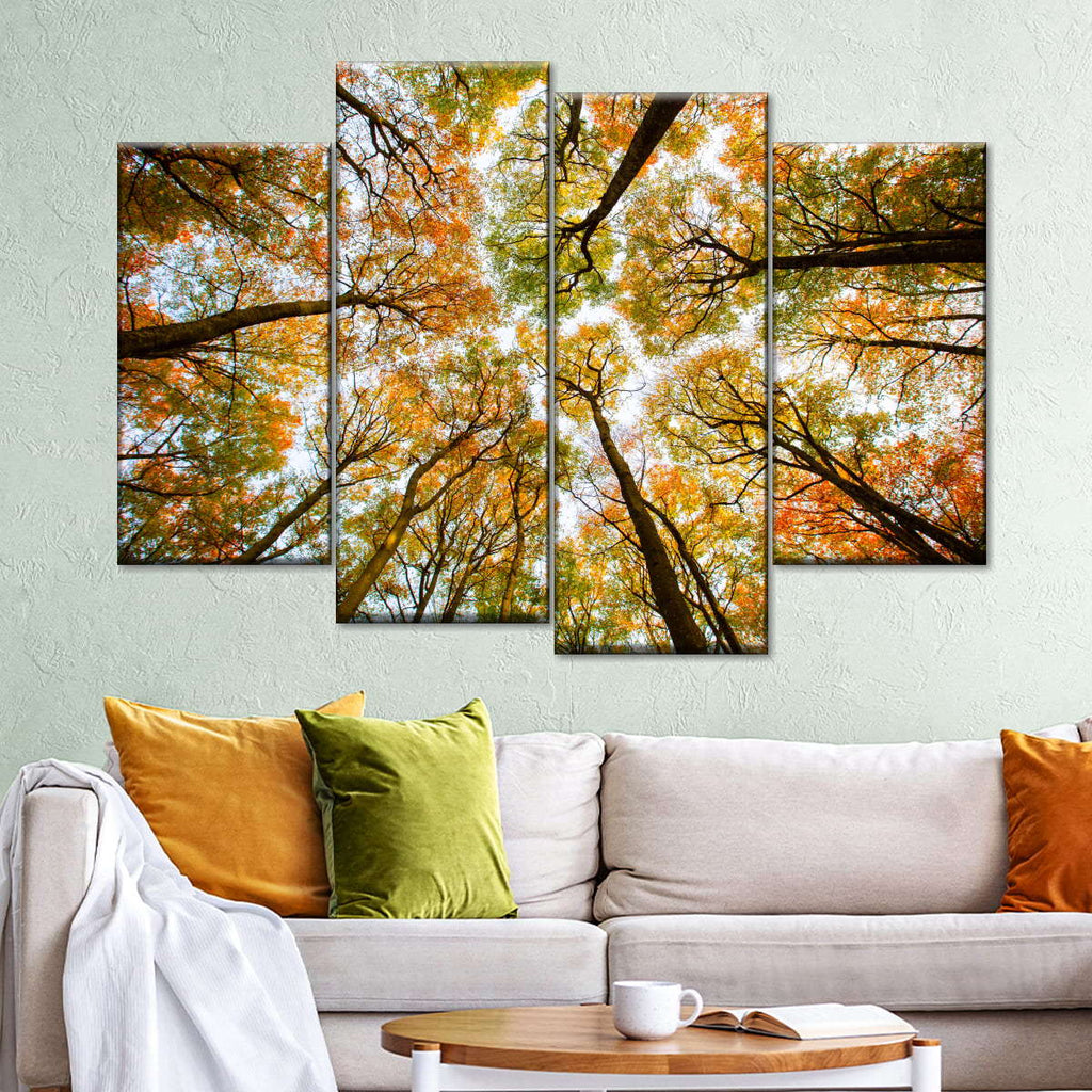 Larvik Forest Trees Wall Art | Photography