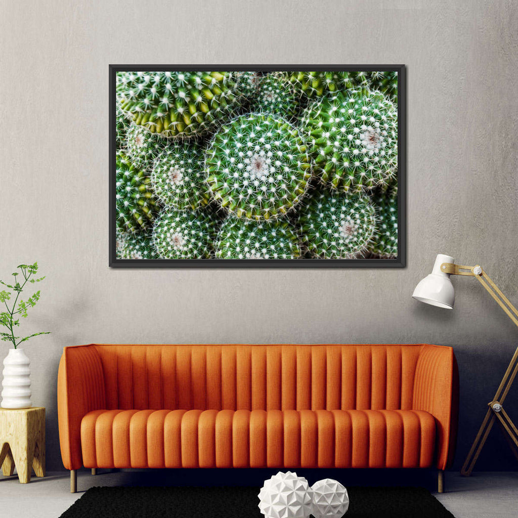 Golden Barrel Cacti Wall Art | Photography