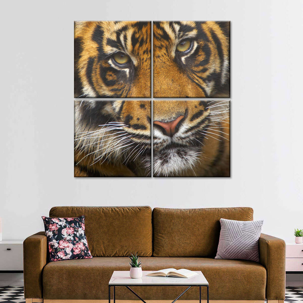 Friendly Tiger Wall Art | Photography