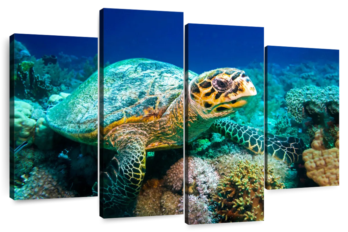 16x24 3-Piece Coral Oil Painting Canvas Set - Bulk Reef Supply