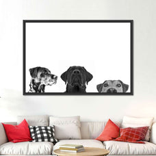Adorable Puppies Wall Art | Photography