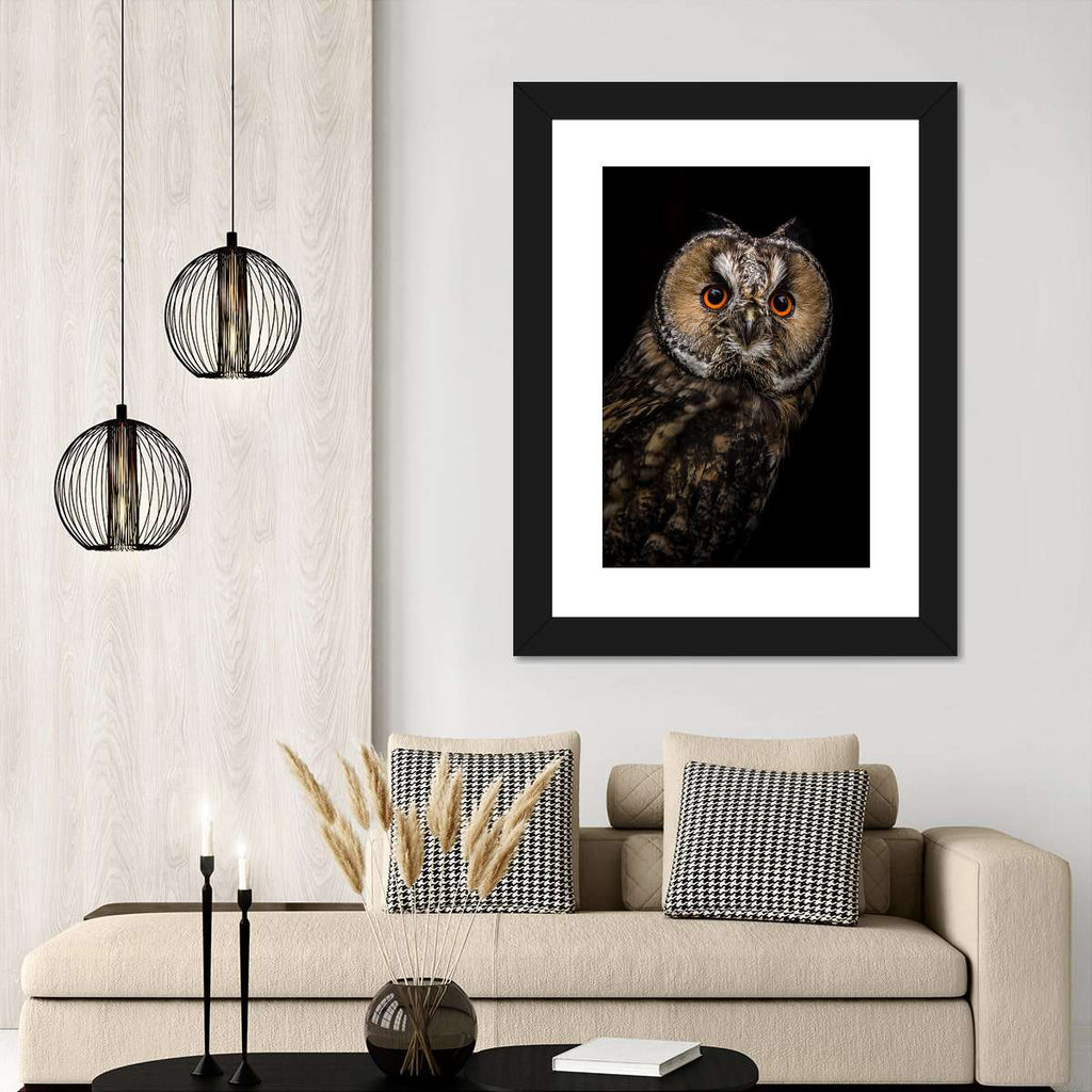 Eurasian Owl Wall Art | Photography