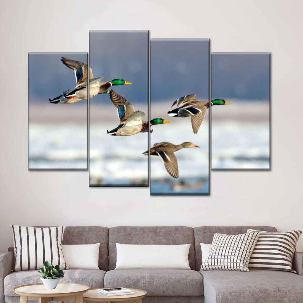 Flock Of Ducks Wall Art | Photography