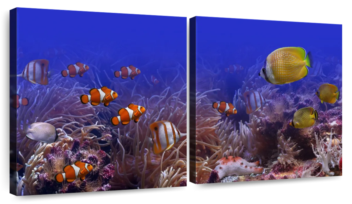 16x24 3-Piece Coral Oil Painting Canvas Set - Bulk Reef Supply