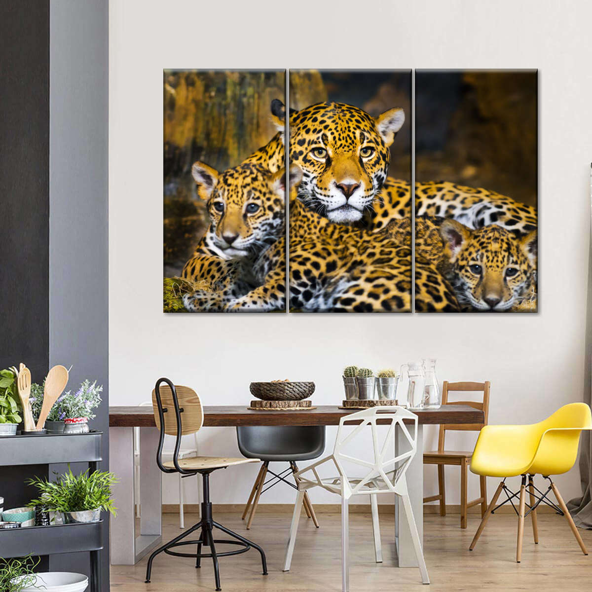 Con software herida Baby Jaguar Wall Art | Photography