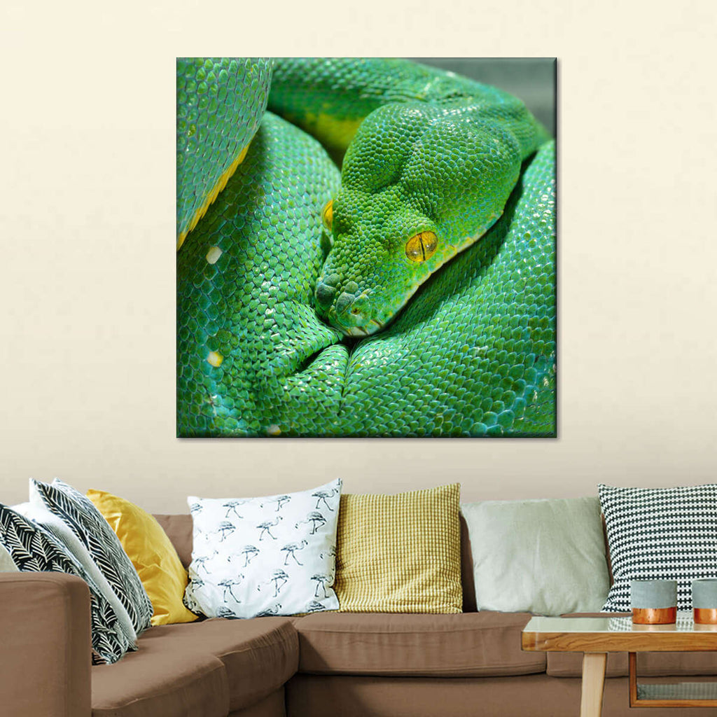Green Tree Python Wall Art | Photography