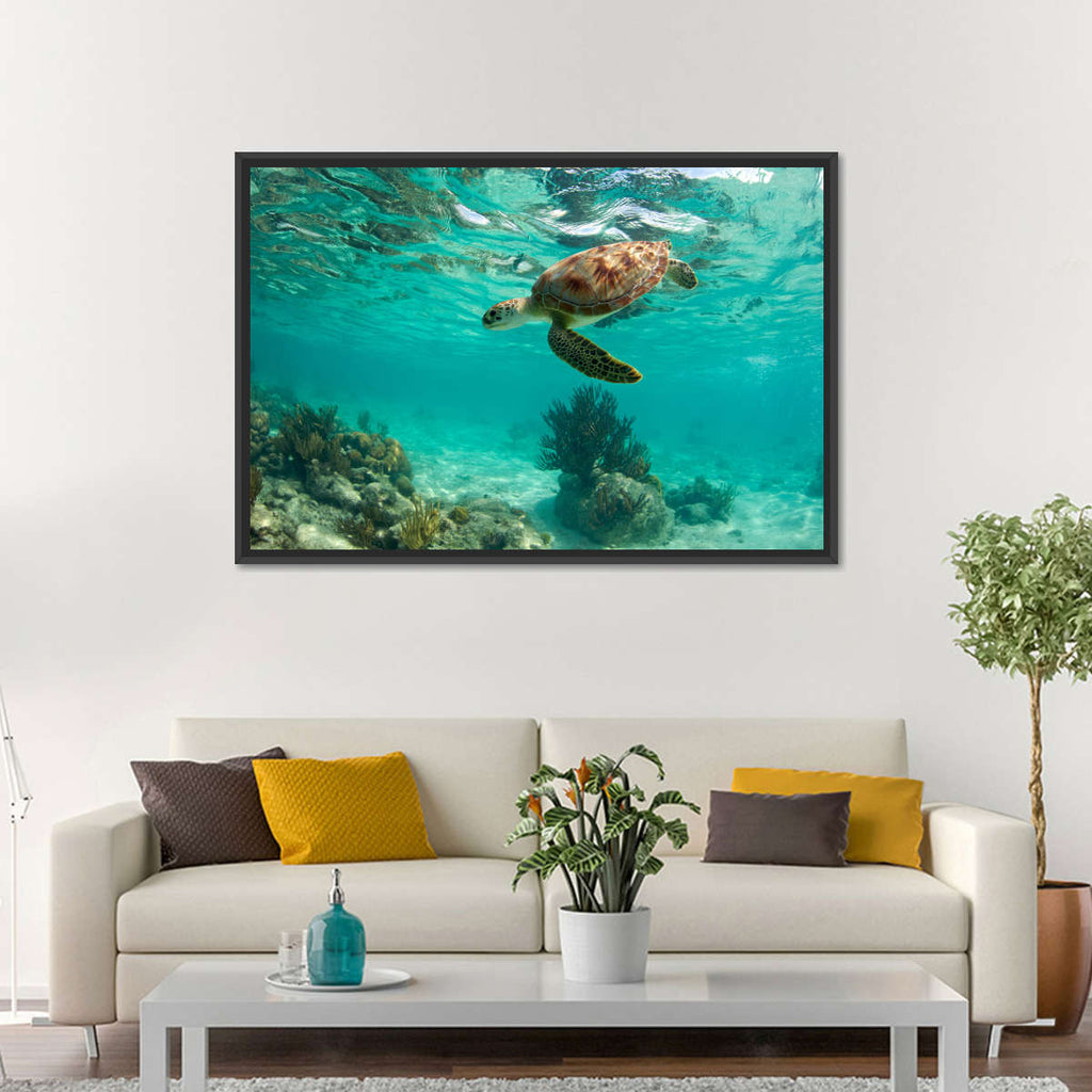 Swimming Green Sea Turtle Wall Art | Photography