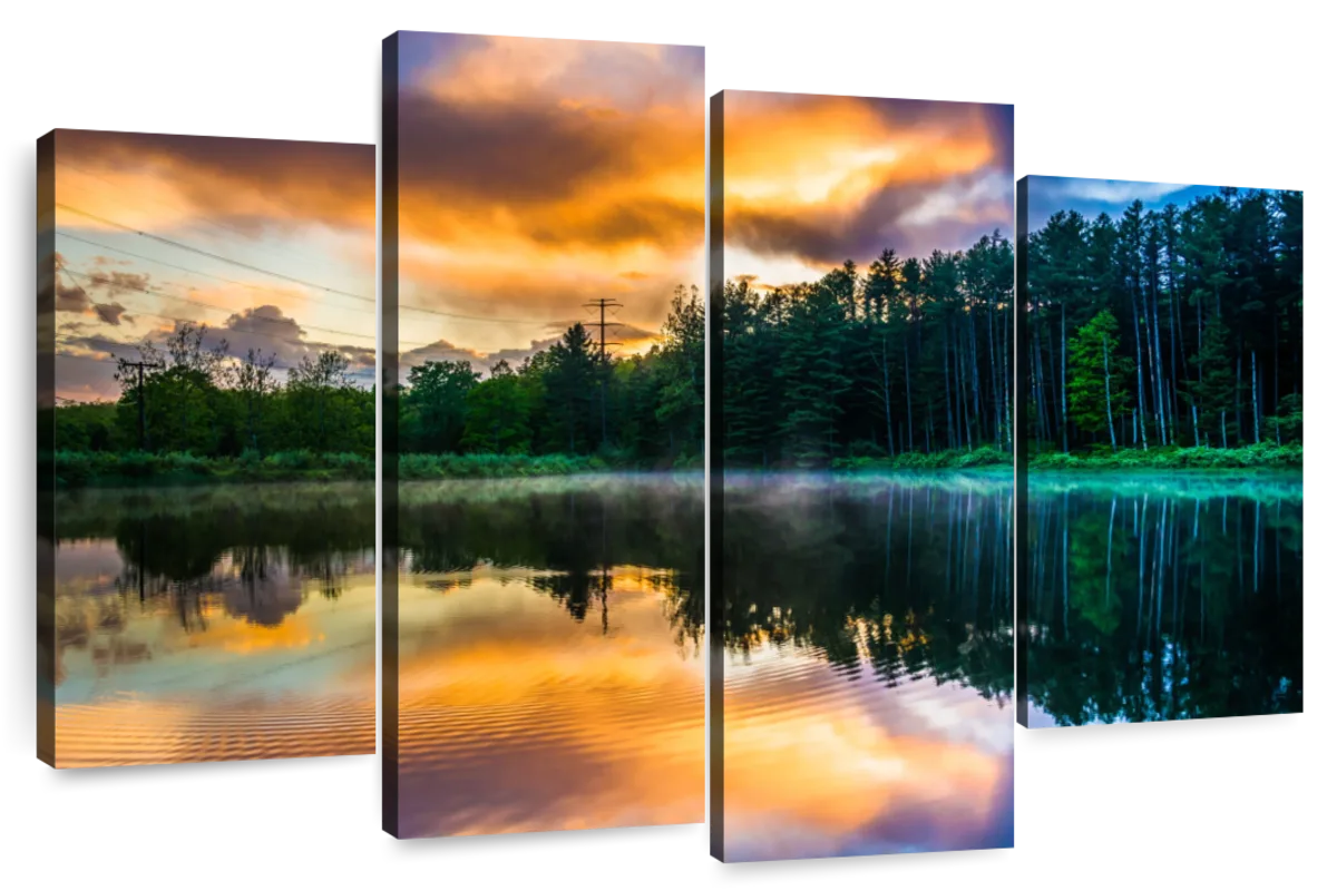 Pine Forest Reflection Wall Art | Photography