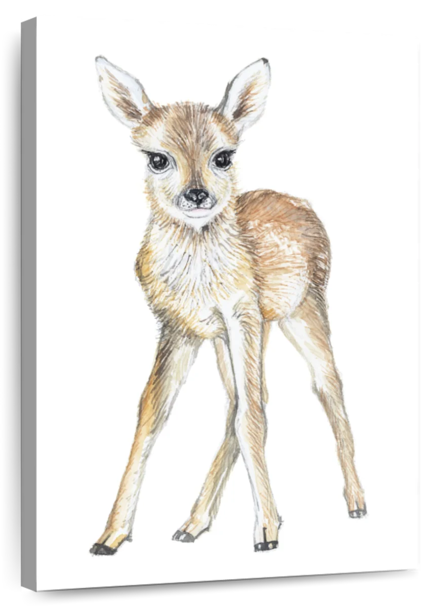 Mother Deer Fawn Stock Illustrations – 177 Mother Deer Fawn Stock  Illustrations, Vectors & Clipart - Dreamstime
