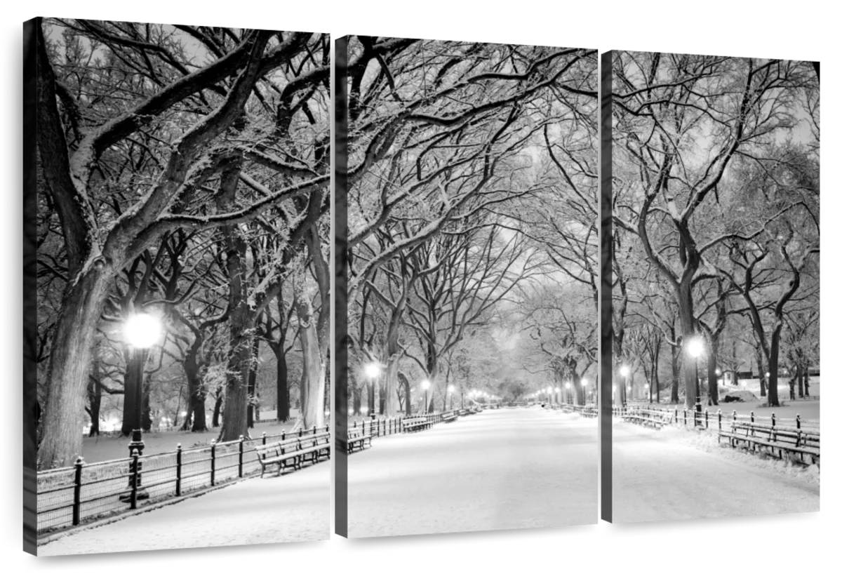 Central Park White Winter Wall Art | Photography