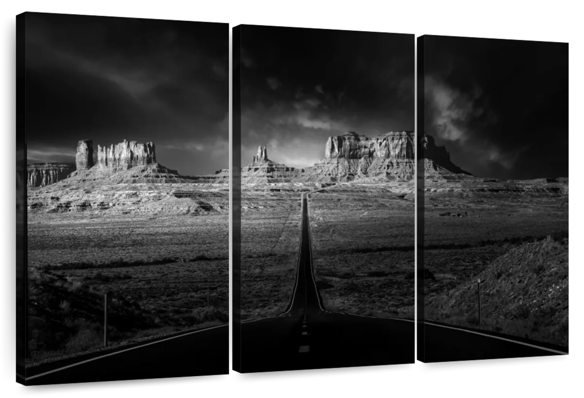 Monument Valley Monochrome Wall Art | Photography