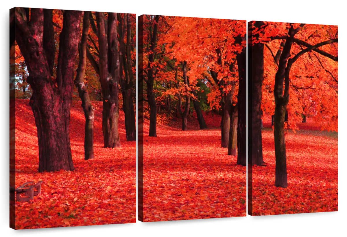 Fall Season Wall Art | Photography