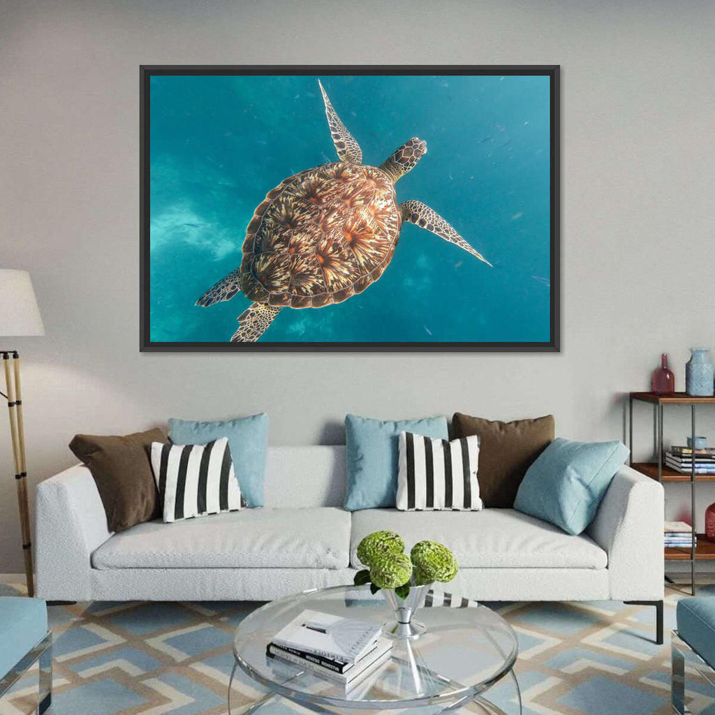 Indonesian Hawksbill Turtle Wall Art | Photography