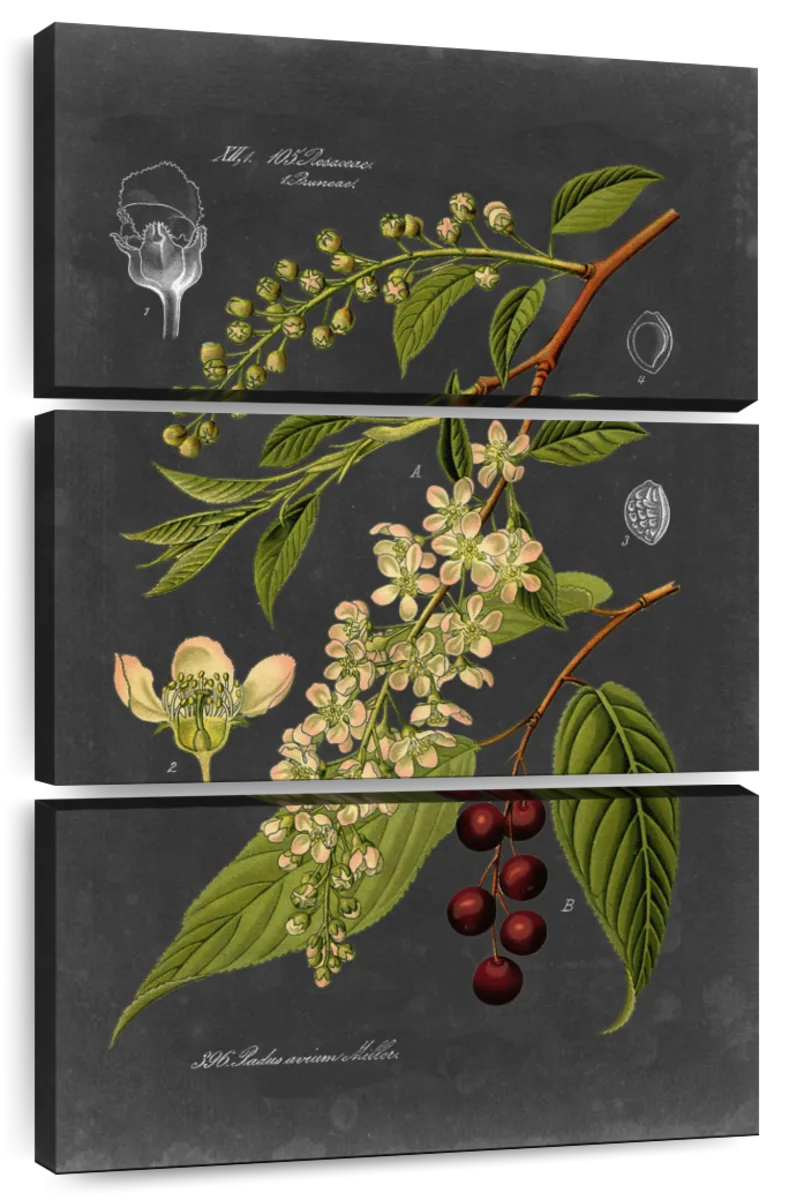 Midnight Botanical II Art: Canvas Prints, Frames & Posters