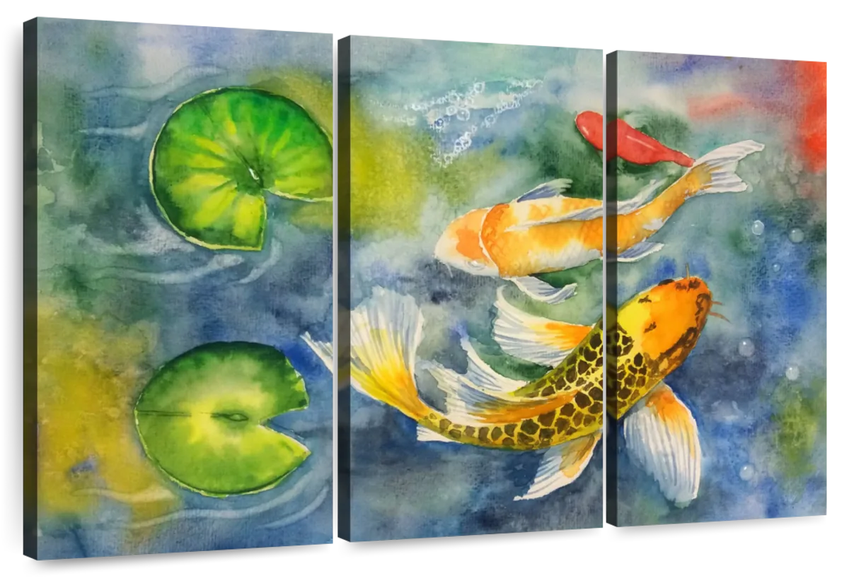 2 koi fish drawing color