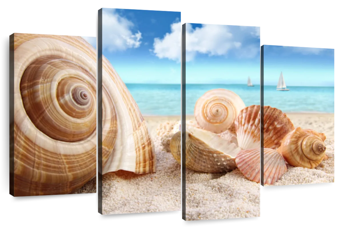 https://cdn.shopify.com/s/files/1/1568/8443/products/ncn_es_eew_layout_4_mess_ocean-beach-seashells-4-piece-wall-art.webp?v=1668702238
