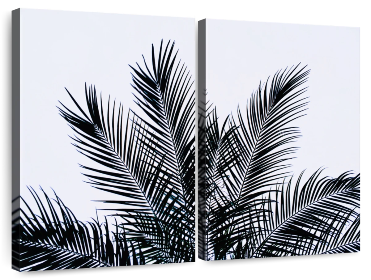 Silhouetted Palm Leaves Wall Art | Photography