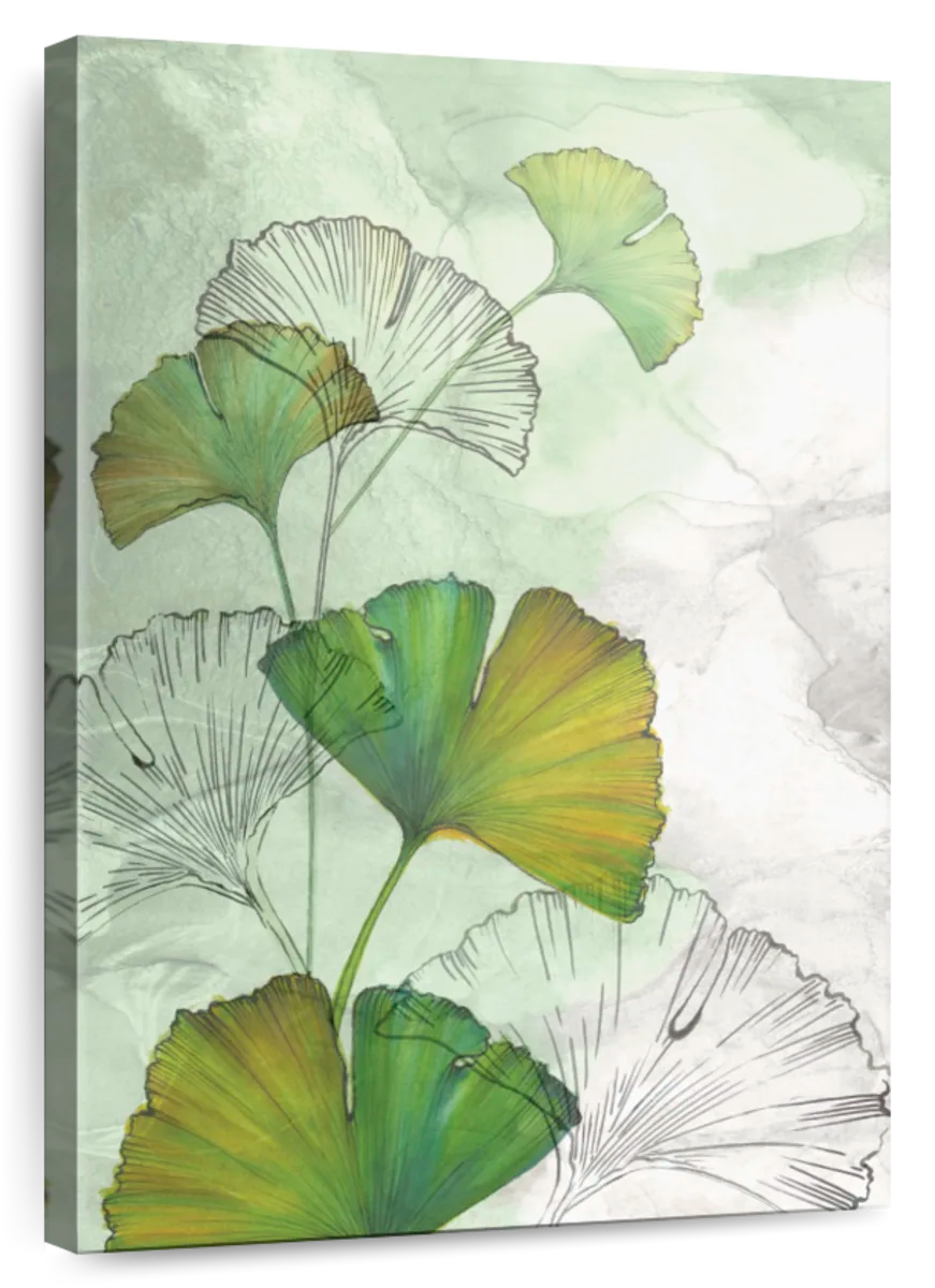 Ginkgo Wall Art | Paintings, Drawings & Photograph Art Prints