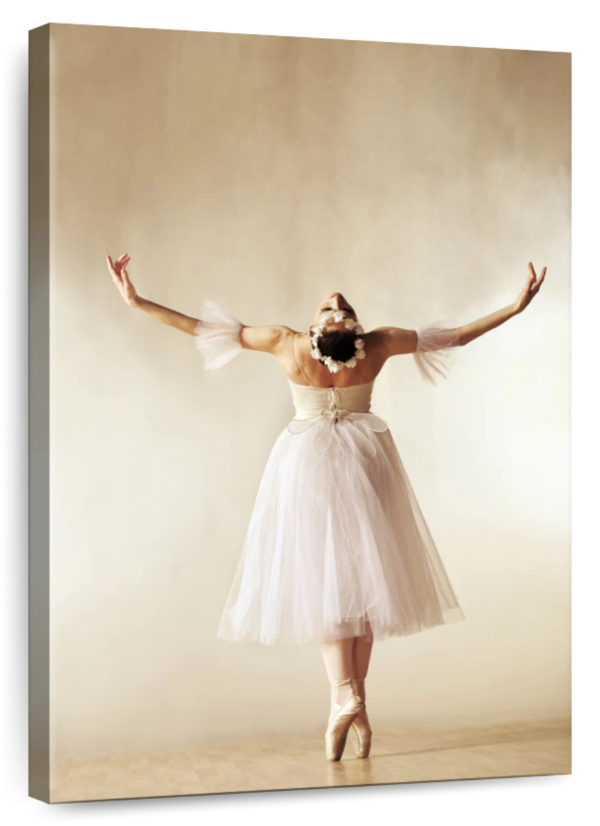 IM Ballet Poses | Daz 3D