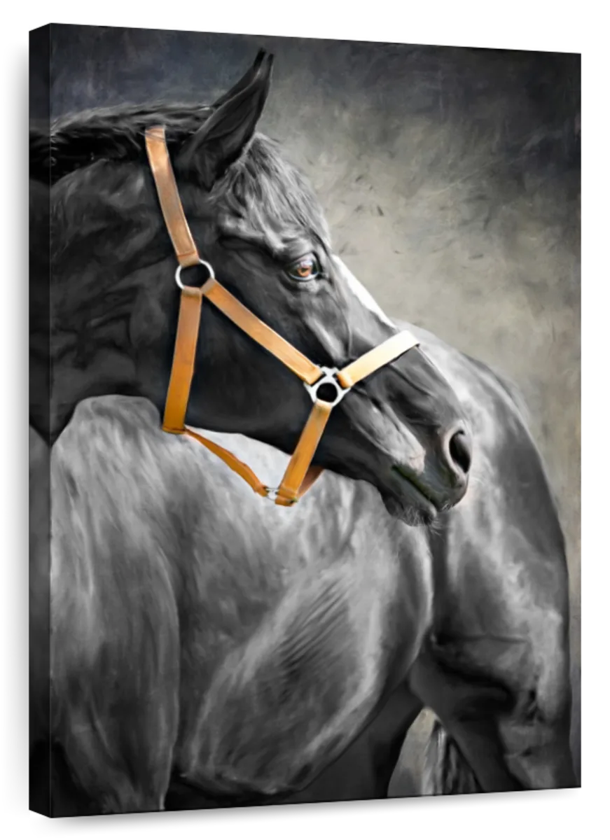 black horse art