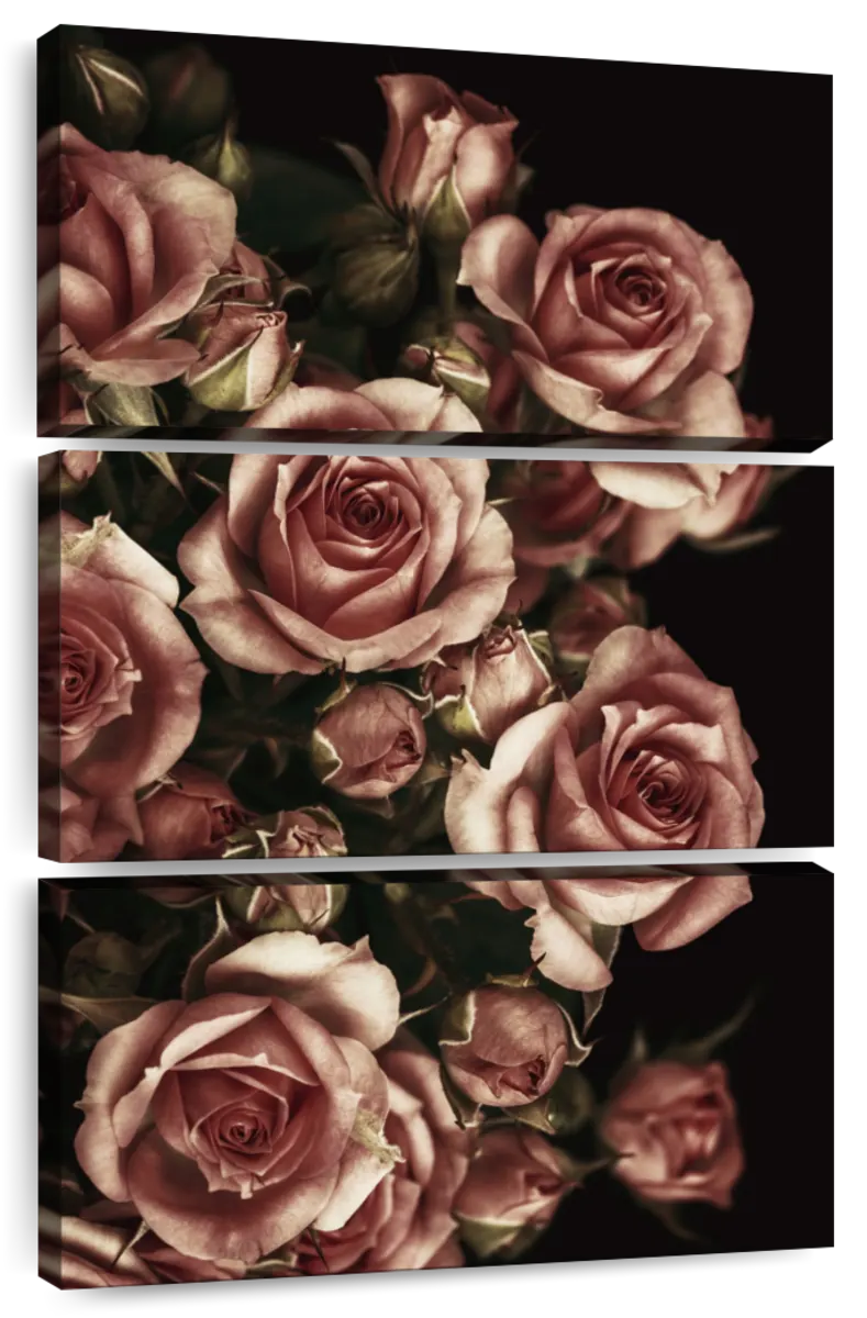 Wedding Roses Wall Art | Photography
