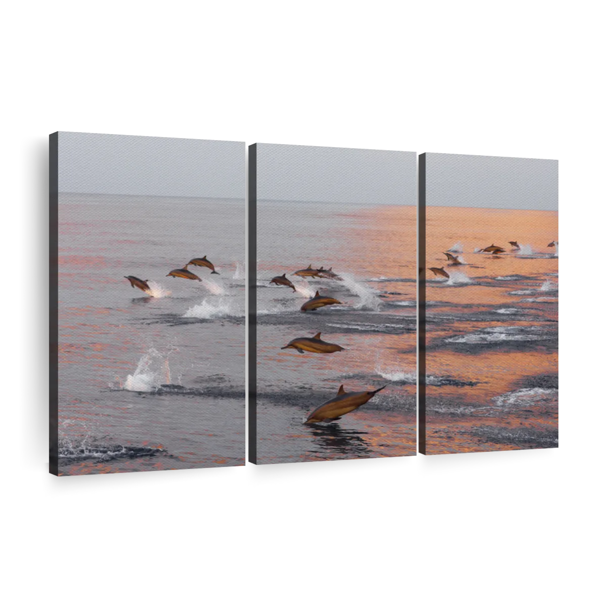 Dolphins Hunting Fish Art: Canvas Prints, Frames & Posters