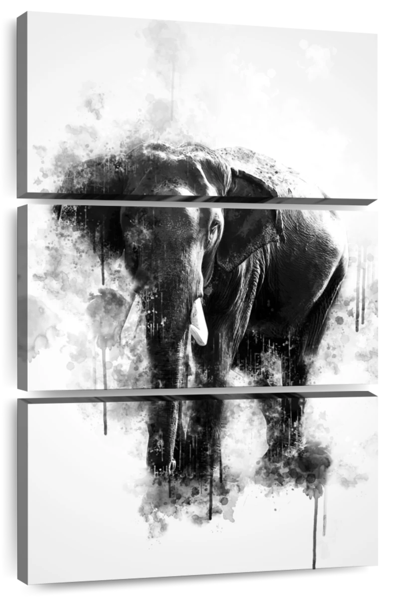 How to find and choose the perfect black and white elephant print - Art  Photography