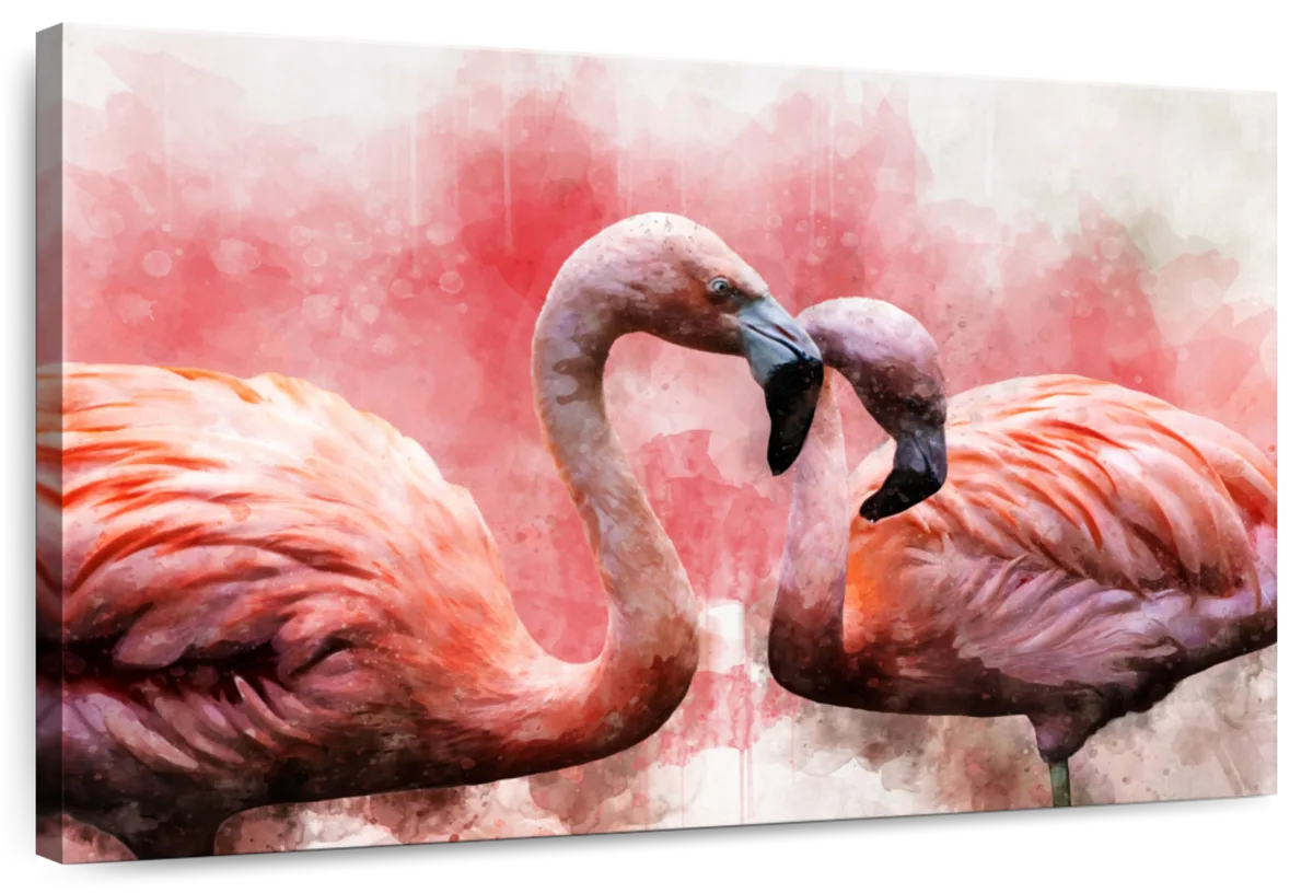 Flamingos in Love – affordable canvas prints online – Photowall