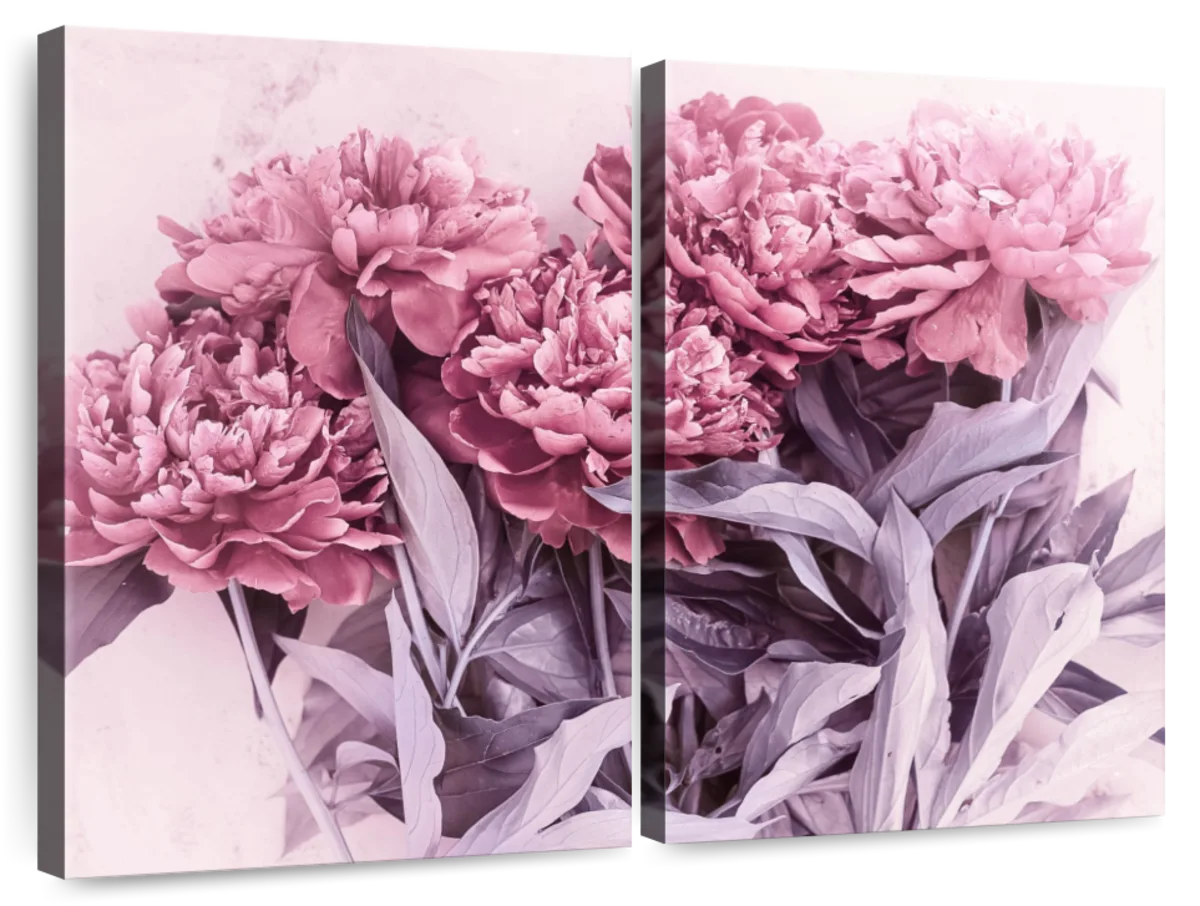 Blooming Pink Peonies Wall Art | Photography