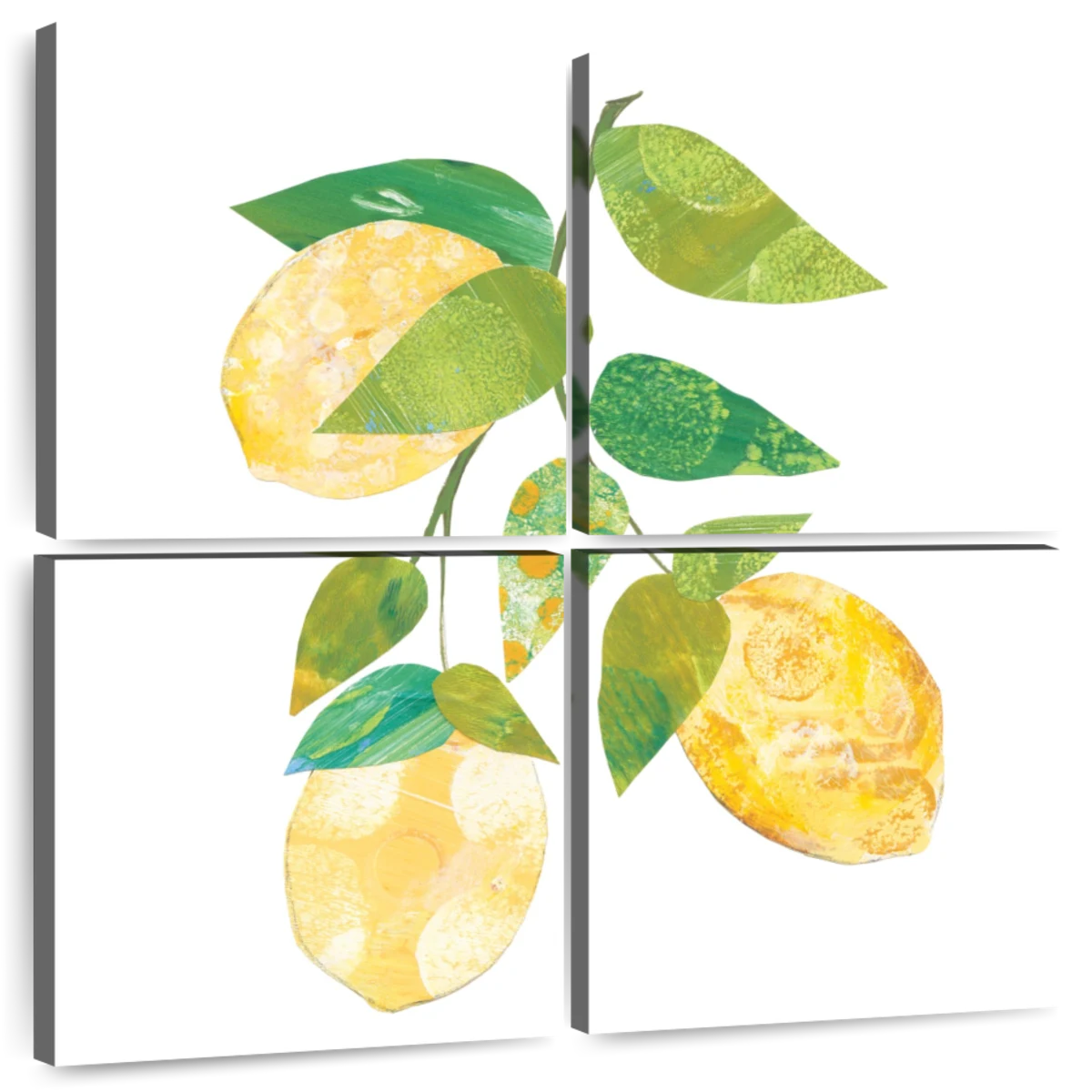 Citrus Summer II Art: Canvas Prints, Frames & Posters