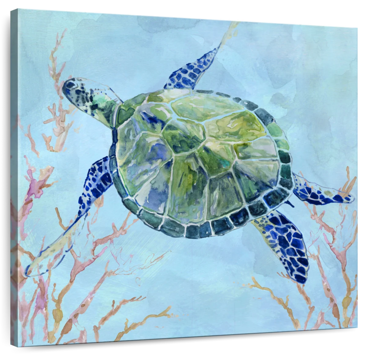 Sea Turtle II Wall Art | Painting | by Carol Robinson
