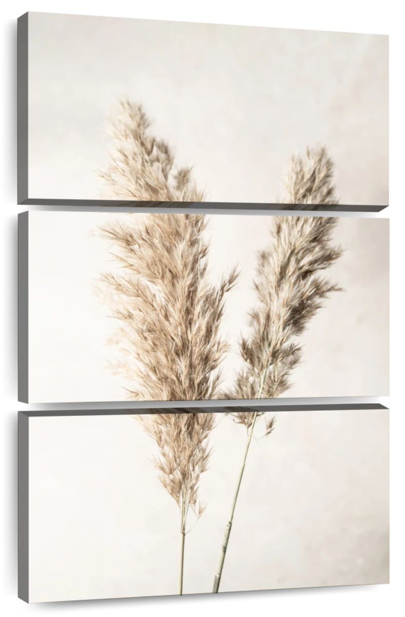 Pampas Grass Canvas Wall Art by Sisi & Seb