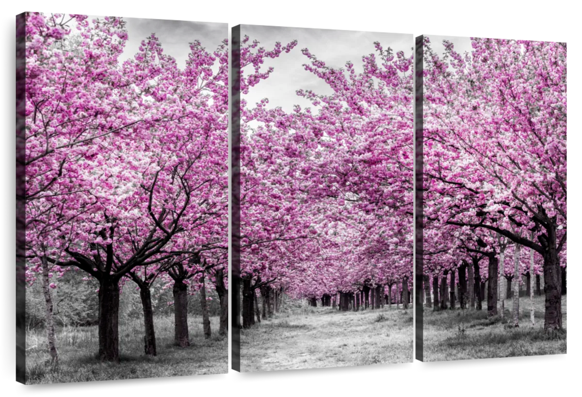 Lovely Cherry Blossom Alley Wall Art | Photography | by Melanie Viola