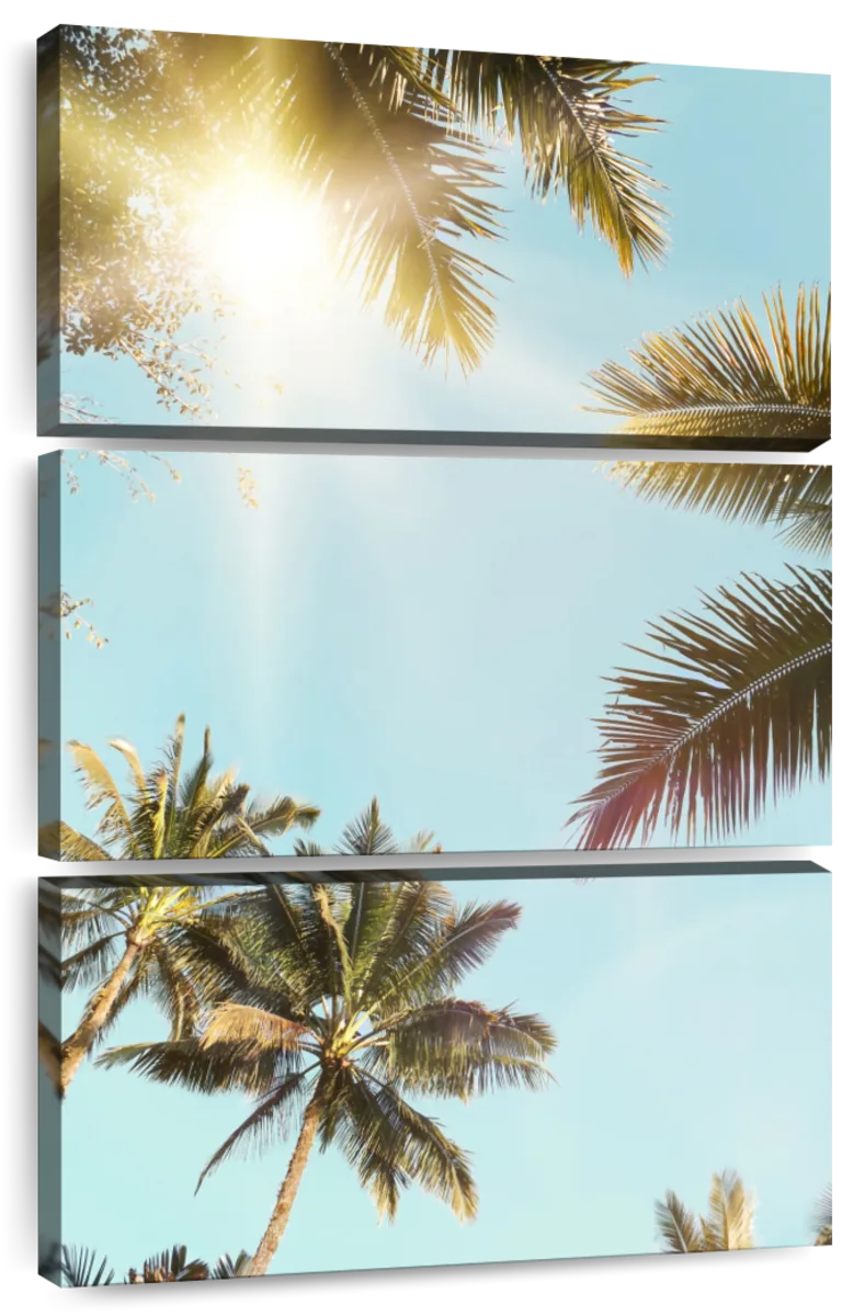 tumblr transparent palm tree