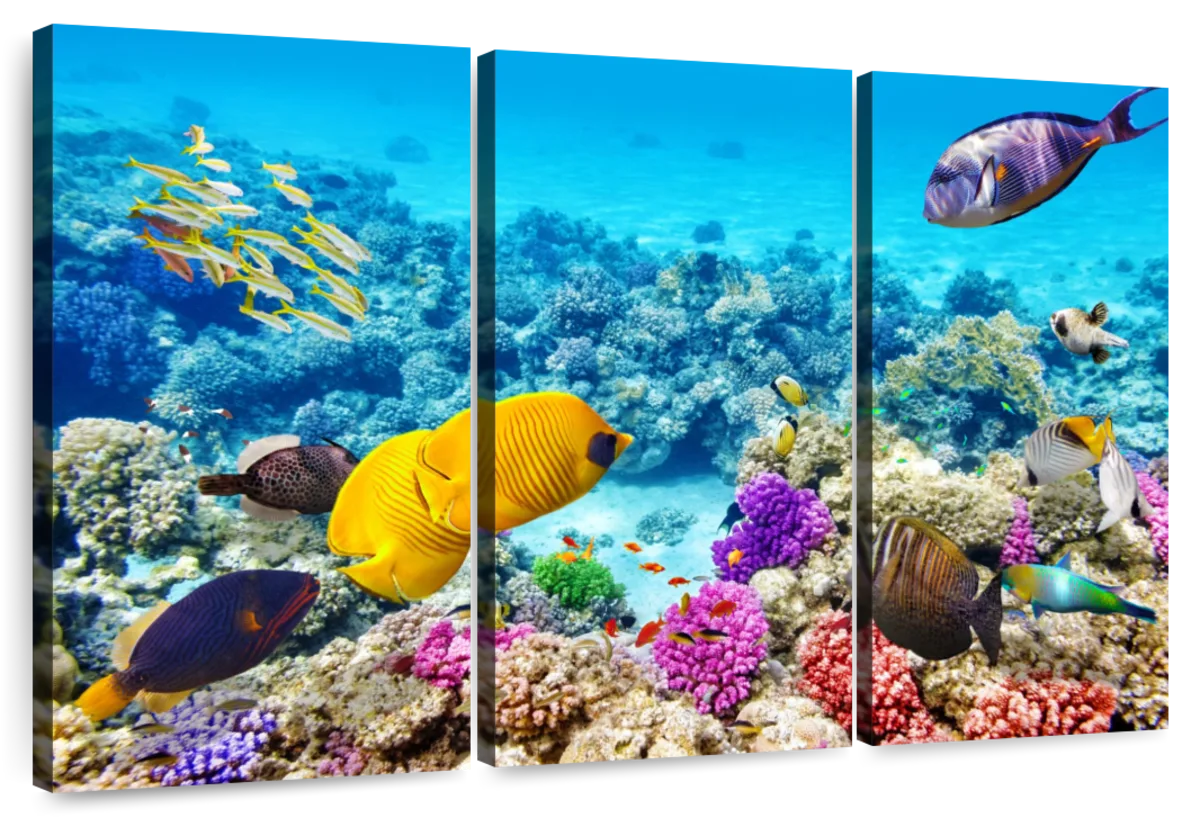 Life Underwater Wall Art | Photography
