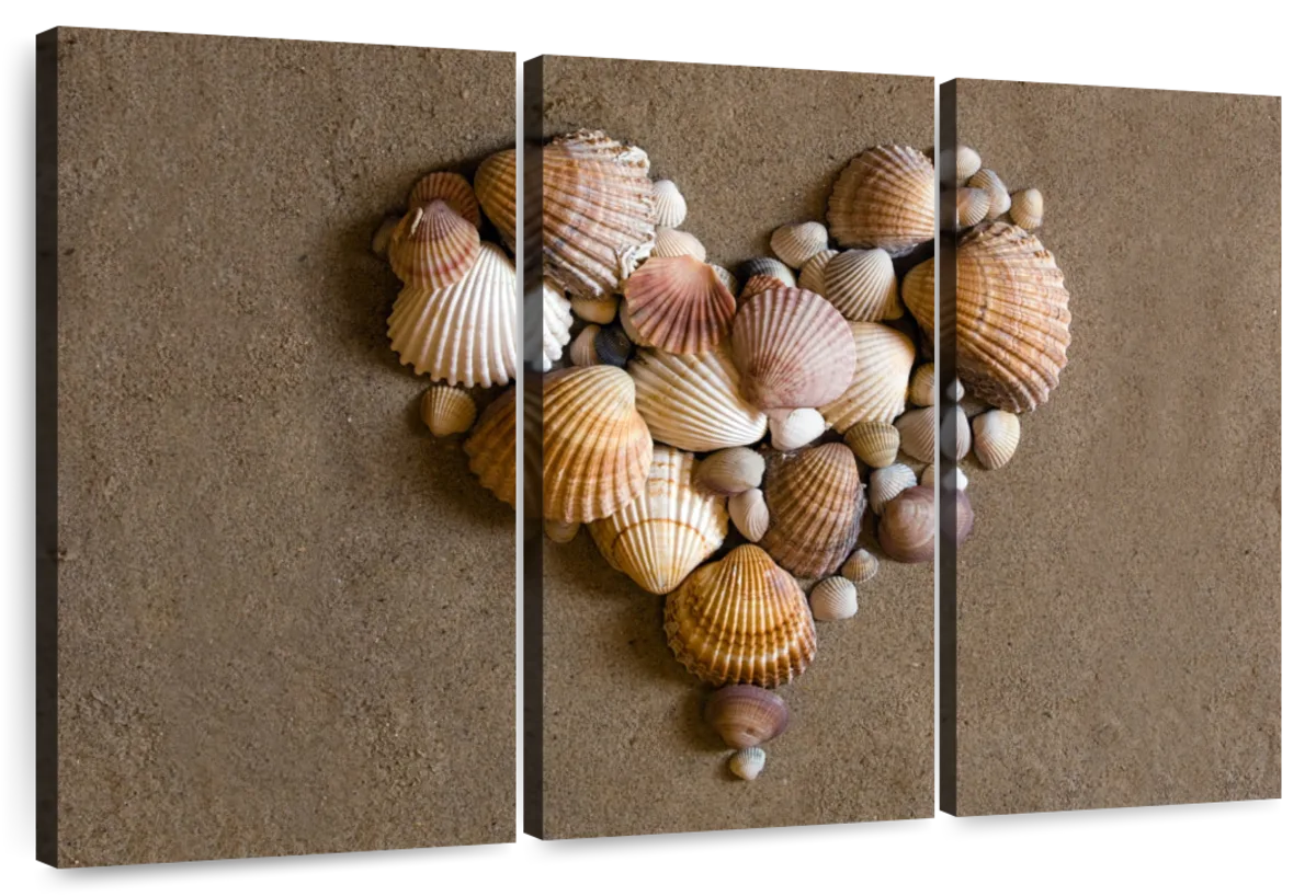 Seashell Wall Art  Paintings, Drawings & Photograph Art Prints