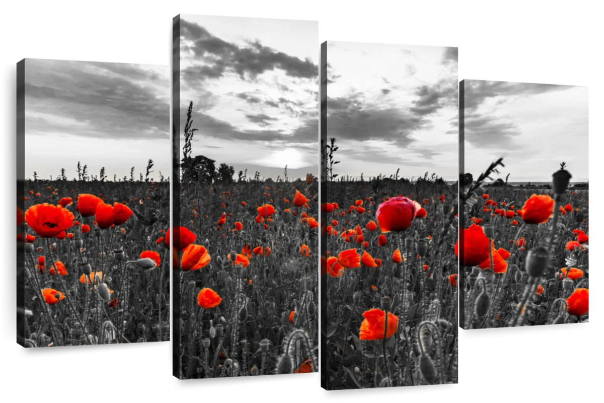 Poppy Field At Dusk Pop Wall Art | Photography