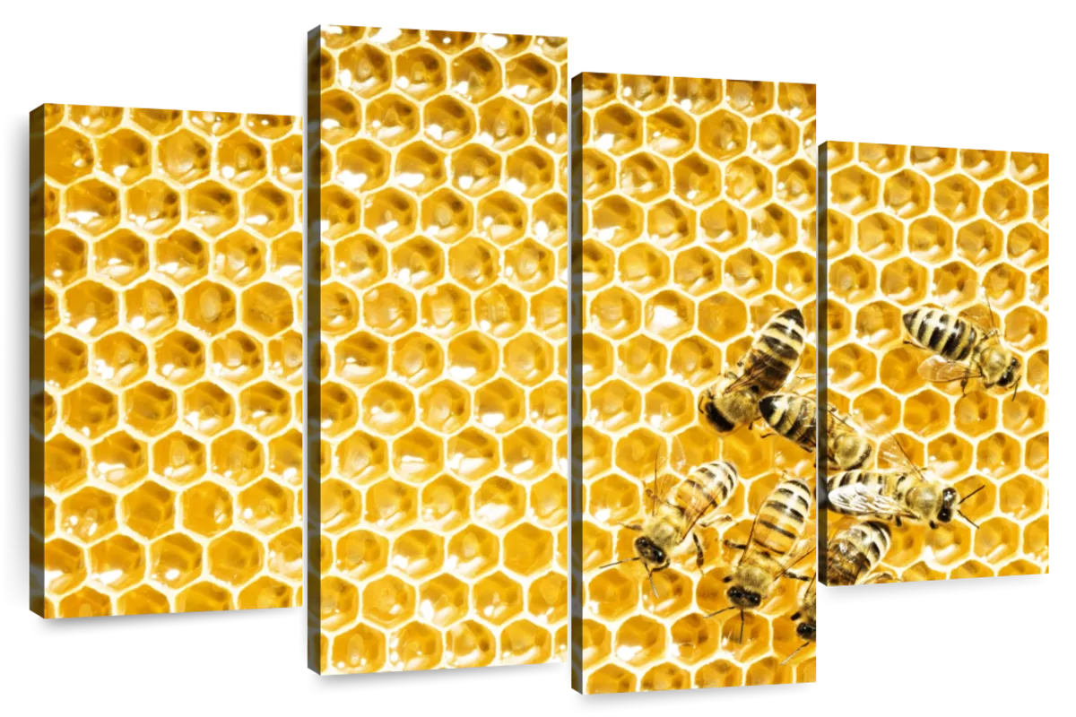 Honeycomb Beehive Hexagon Grid Cells Bee Stock Vector (Royalty Free)  1936182520 | Shutterstock