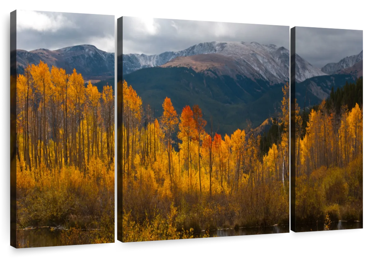 https://cdn.shopify.com/s/files/1/1568/8443/products/qde_es_166_layout_3_bow_horizontal_twin-lakes-aspen-trees-3-piece-wall-art.webp?v=1668759299