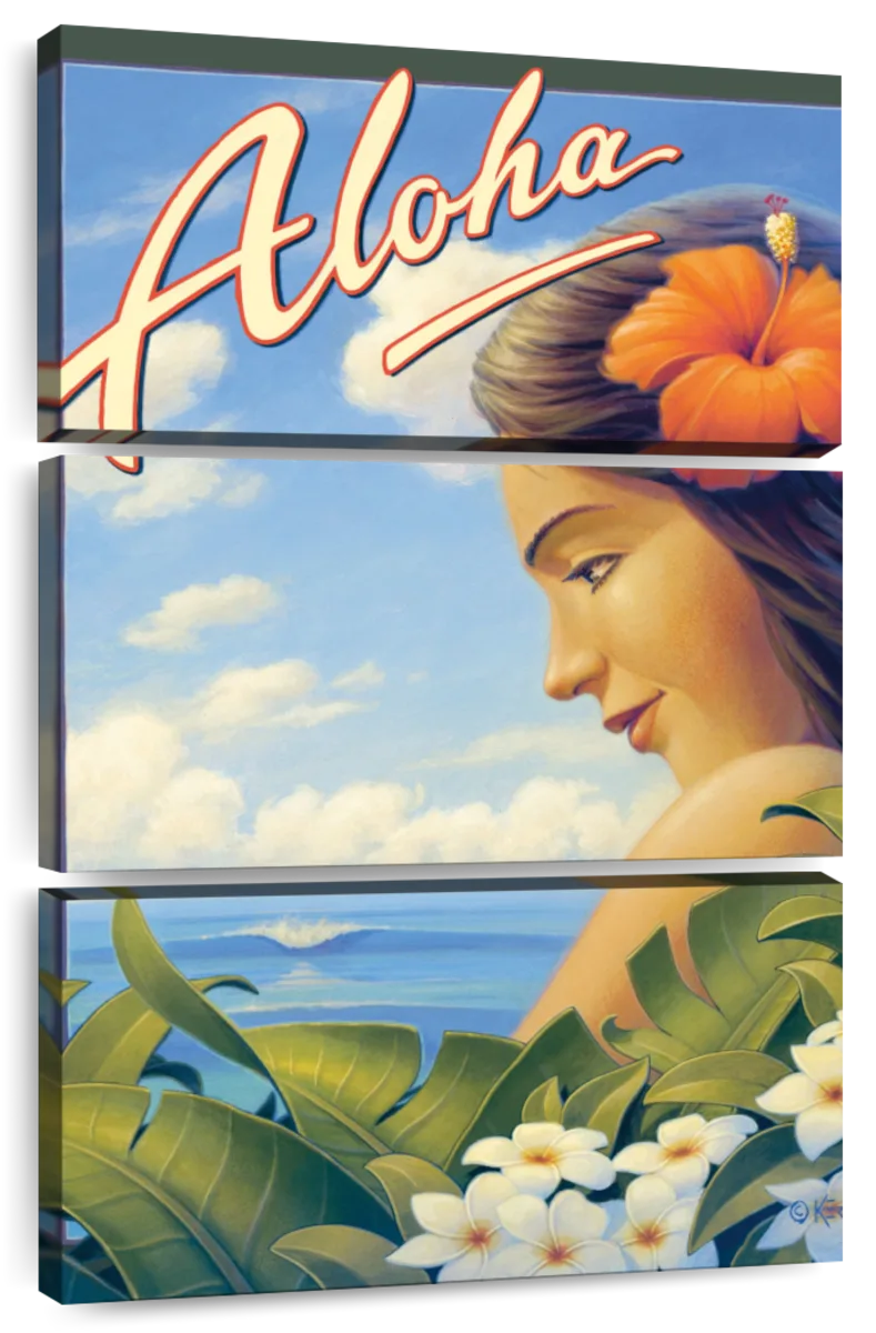 Aloha Hawaii Postcards-Kerne Erickson 