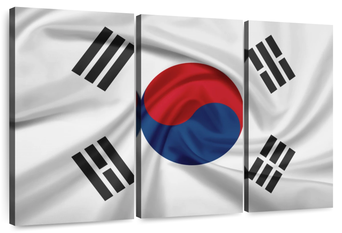 cool south korean flag