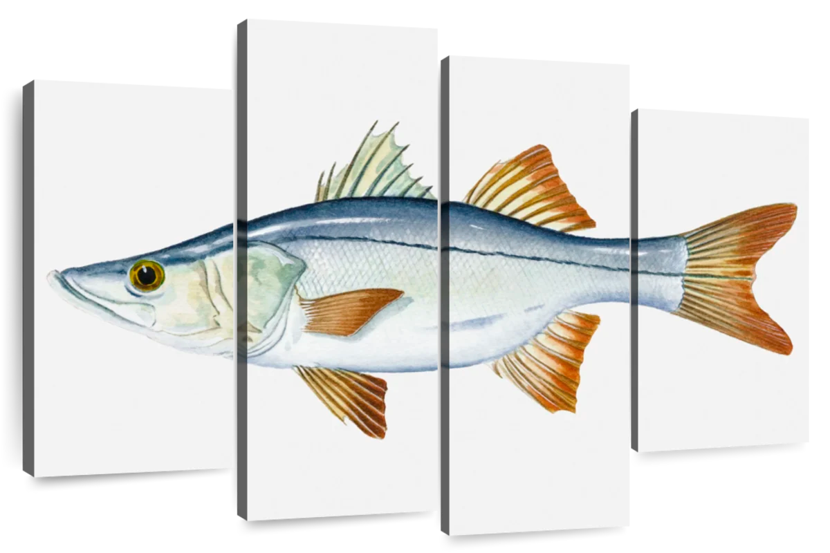 Snook Wall Art: Canvas Prints, Art Prints & Framed Canvas