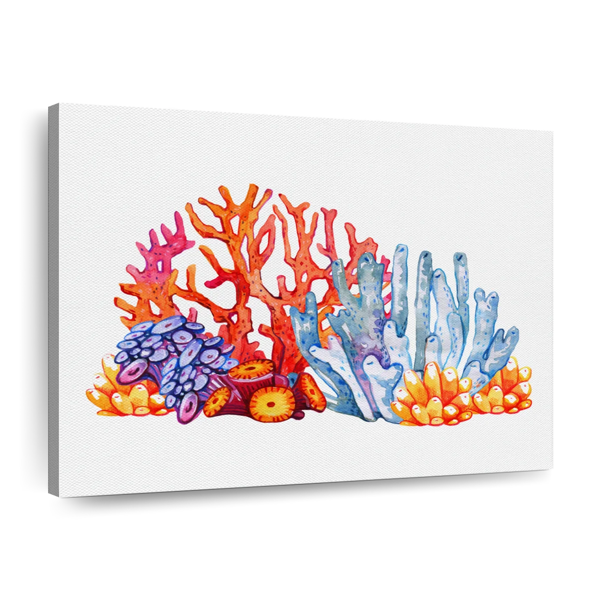 16x24 3-Piece Coral Oil Painting Canvas Set - Bulk Reef Supply