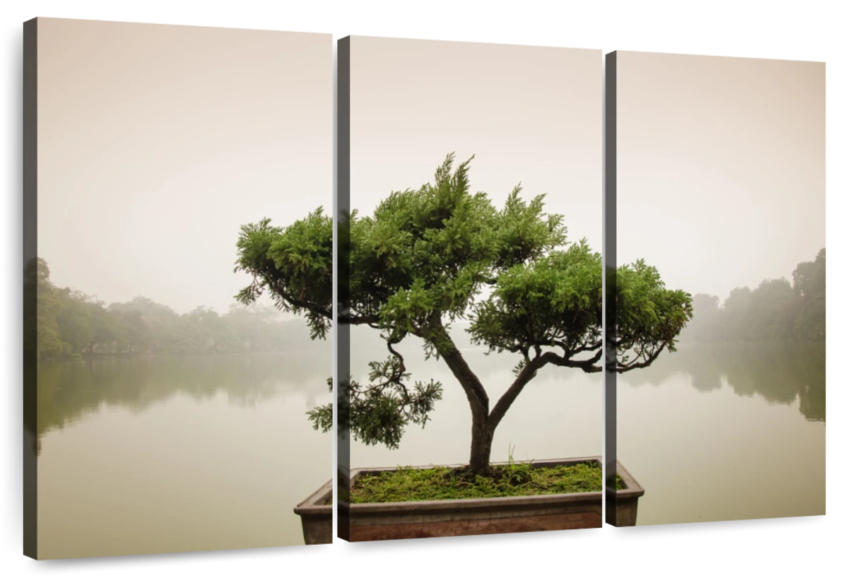 Zen Bonsai Trees Wall Art