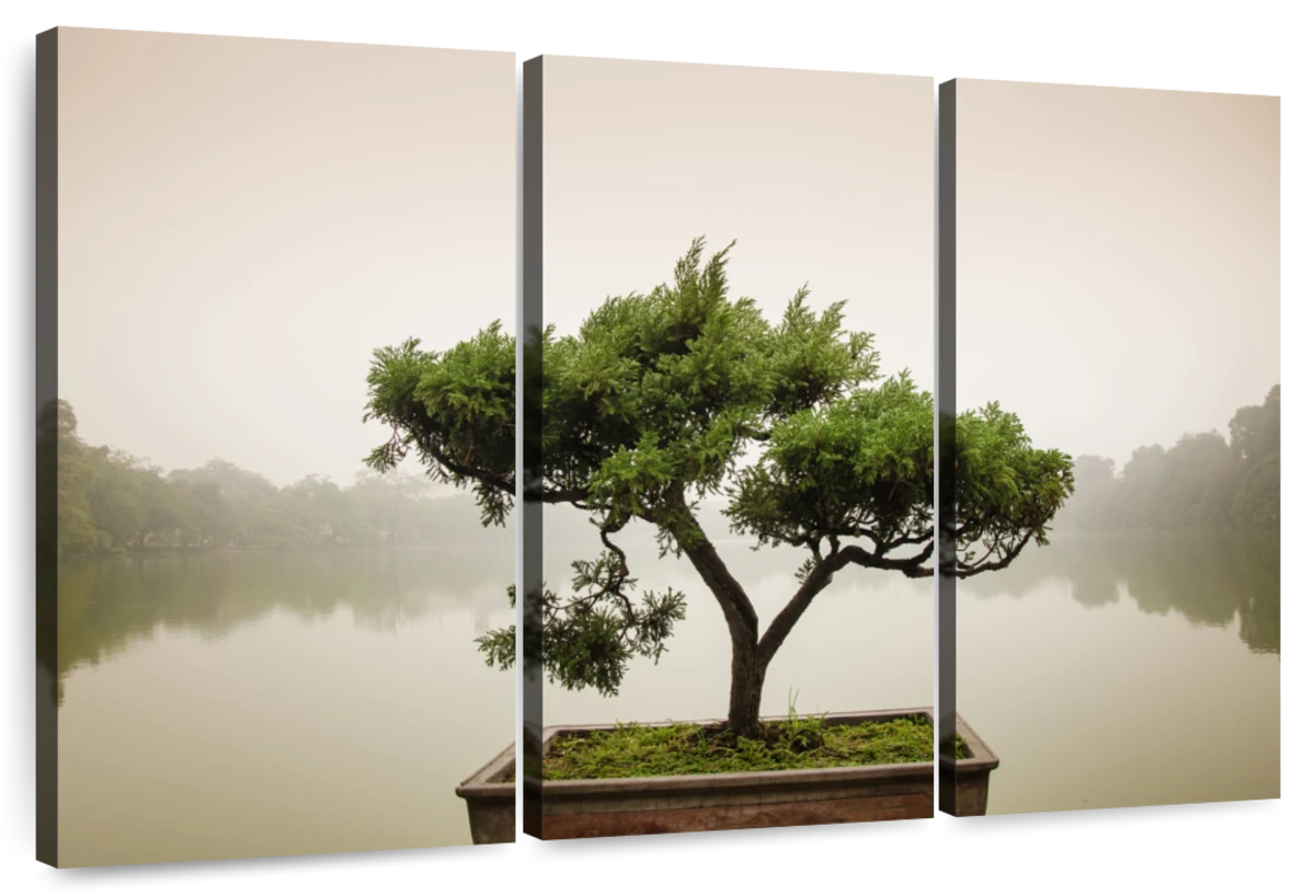 Zen Garden Bonsai Tree Art: Canvas Prints, Frames & Posters