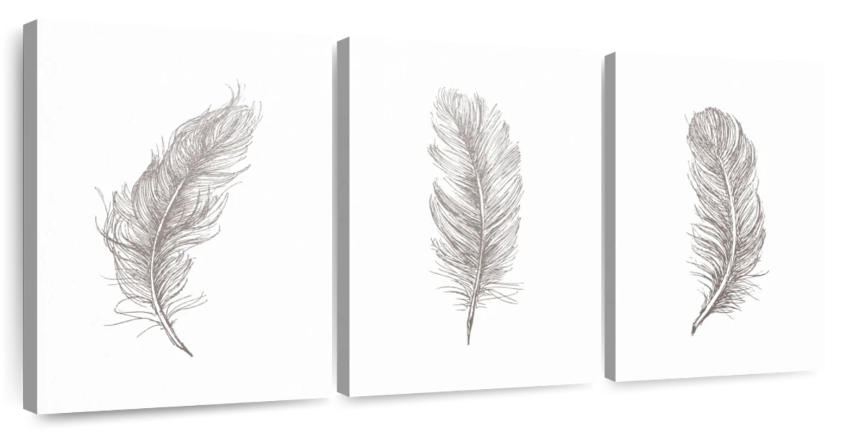 Simple Black Feathers Art: Canvas Prints, Frames & Posters