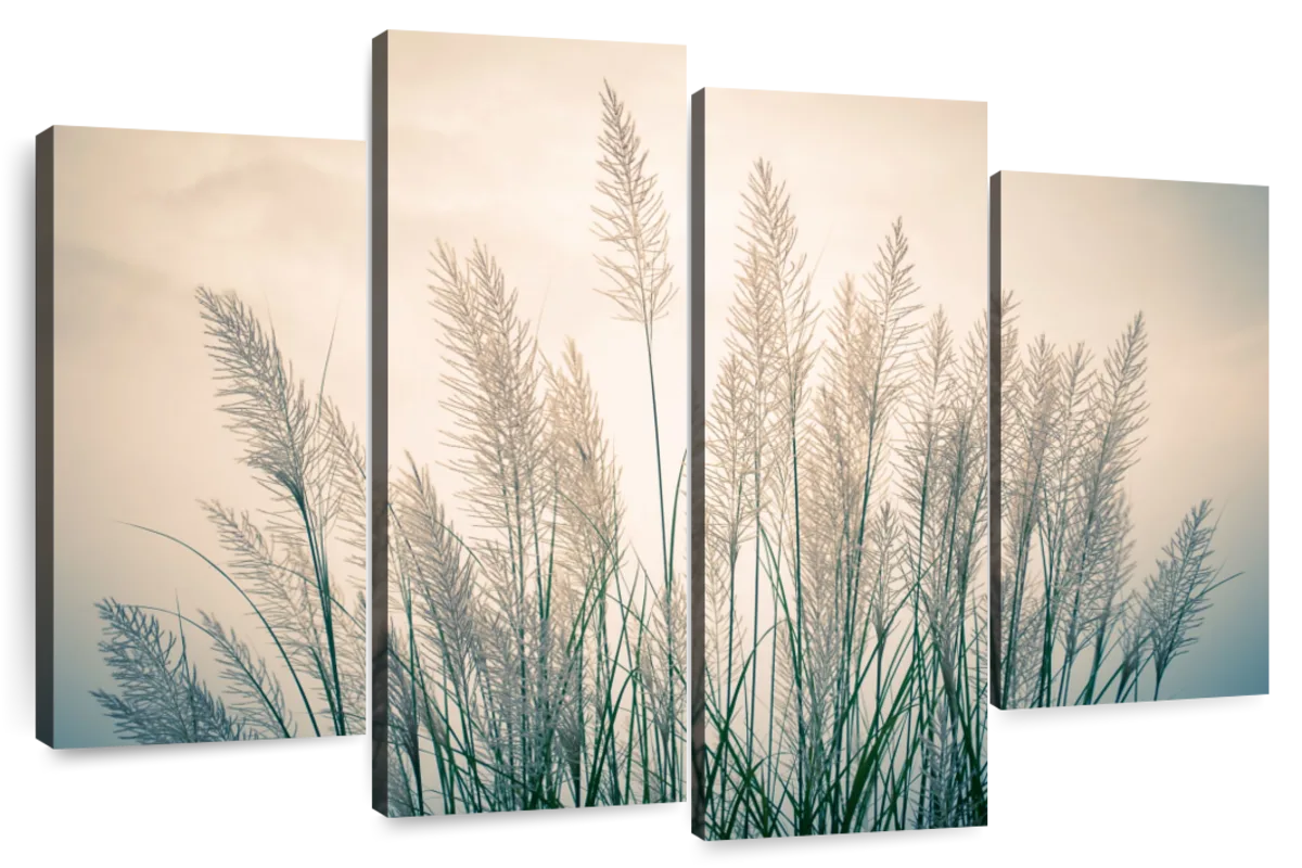 Tall Grass Against Tarlac Sunset Wall Art | Photography