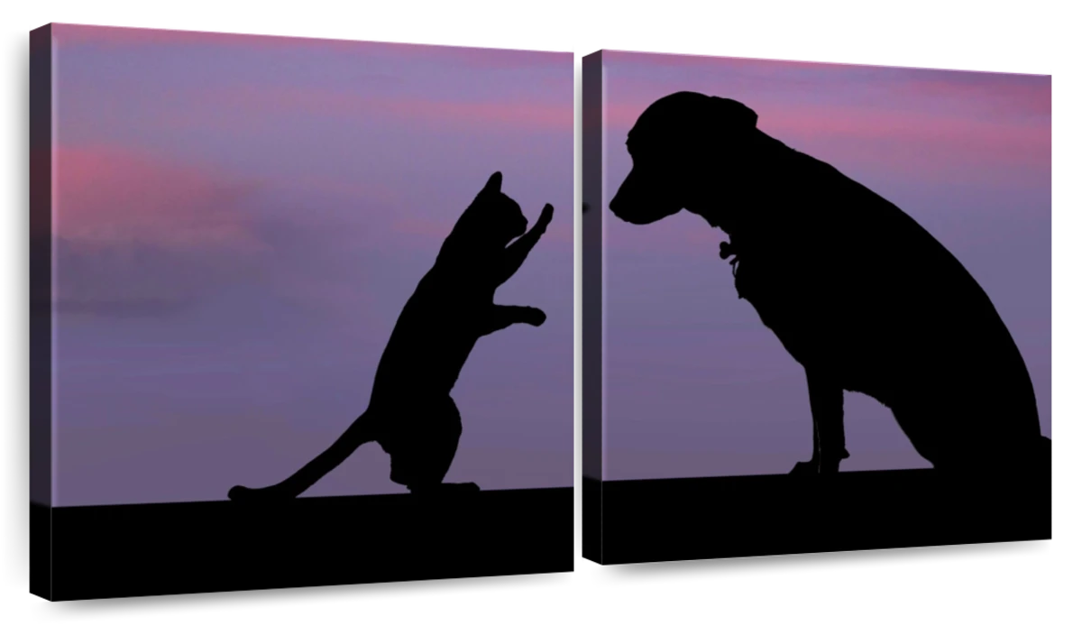 cat and dog silhouette transparent