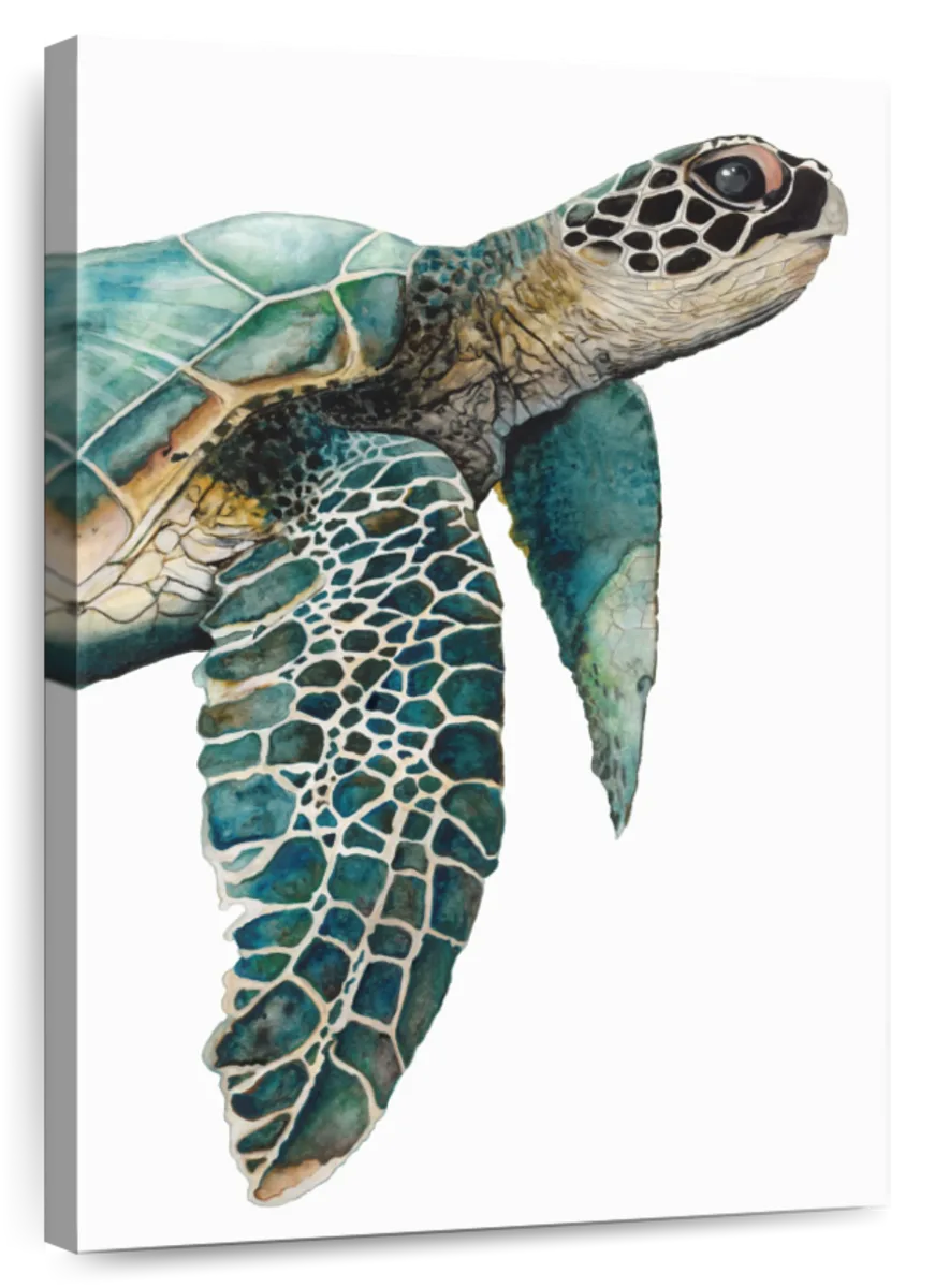 Sea Turtle Painting On Wood | lupon.gov.ph