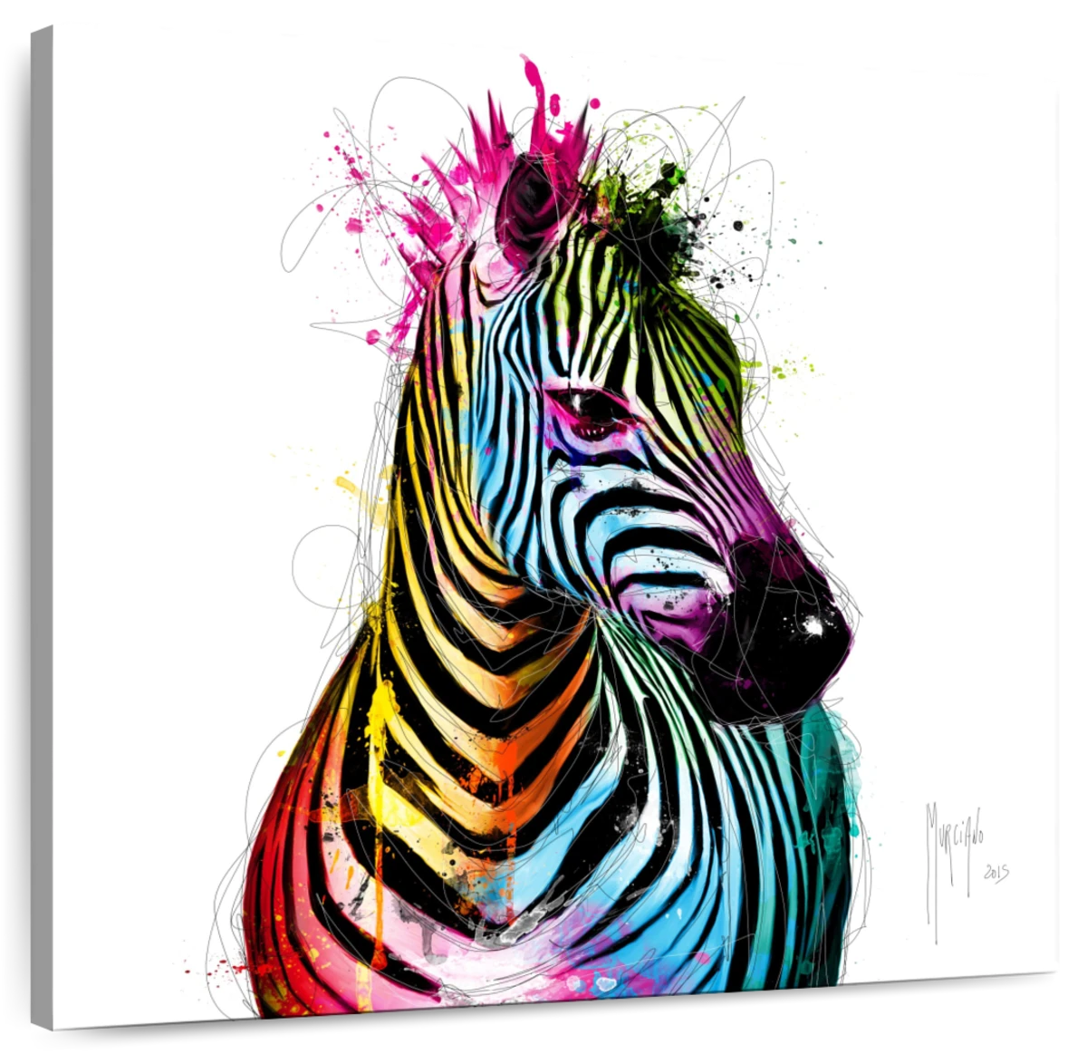 colorful zebra layouts